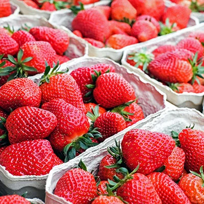 SSR节点/Shadowrocket节点/V2ray节点/Clash节点，11月20日|23M/S|免费订阅机场|每天更新免费梯子